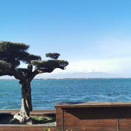 Appartement Cosy Sur La Presqu'Ile De Cap Coudalere Avec Piscine Ouverte Et Chauffee Ле-Баркарес Екстер'єр фото