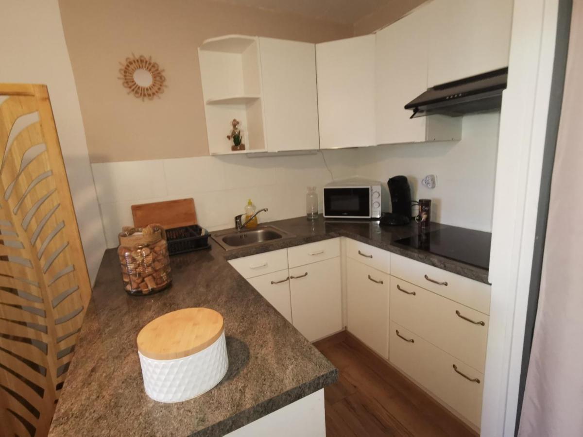 Appartement Cosy Sur La Presqu'Ile De Cap Coudalere Avec Piscine Ouverte Et Chauffee Ле-Баркарес Екстер'єр фото