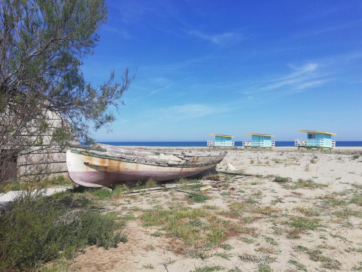 Appartement Cosy Sur La Presqu'Ile De Cap Coudalere Avec Piscine Ouverte Et Chauffee Ле-Баркарес Екстер'єр фото