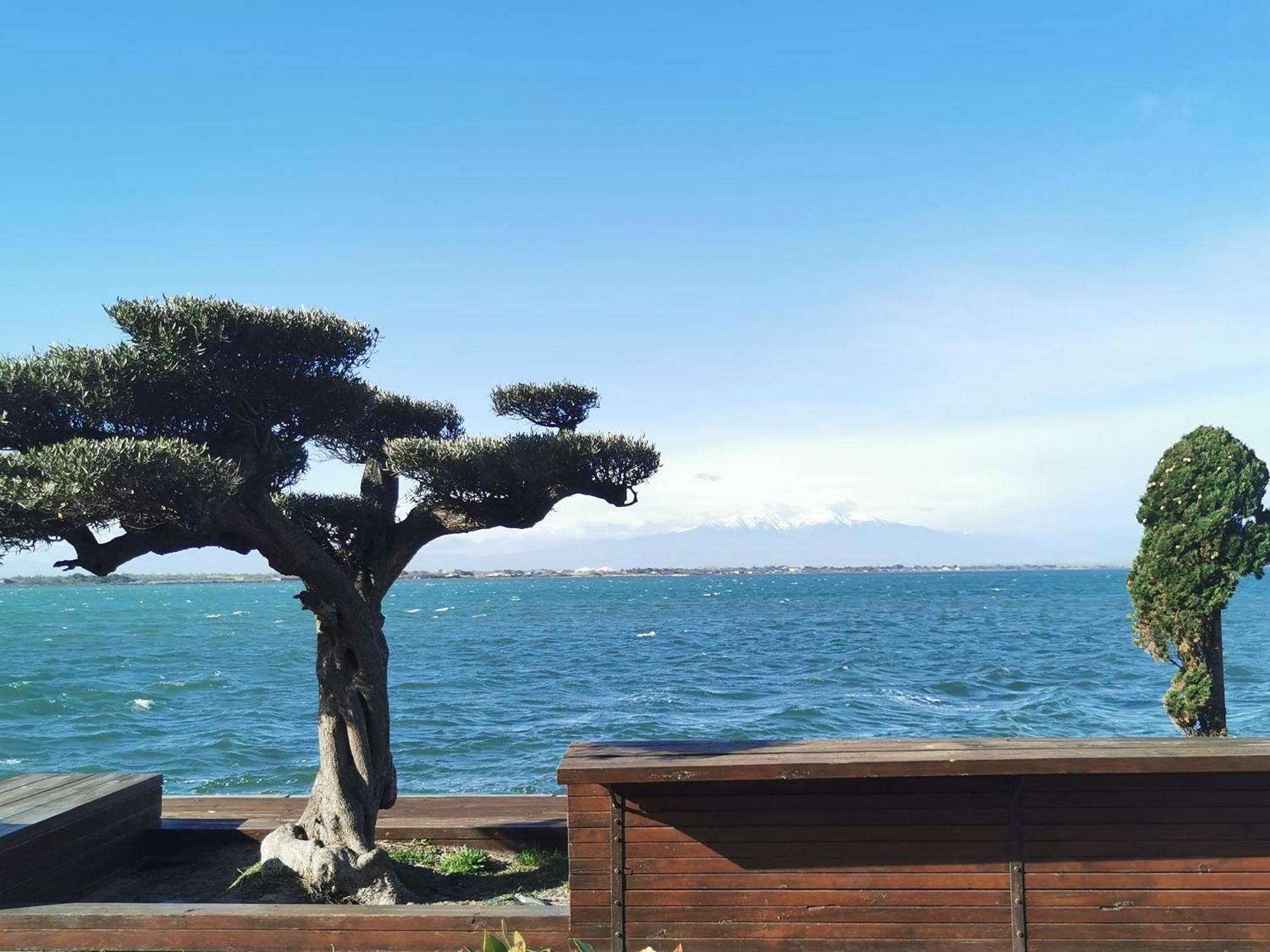 Appartement Cosy Sur La Presqu'Ile De Cap Coudalere Avec Piscine Ouverte Et Chauffee Ле-Баркарес Екстер'єр фото